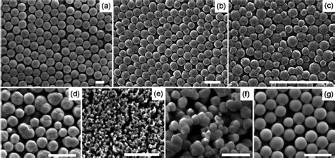 SEM Images Of Mesoporous Silica Particles Synthesized With C EroFound