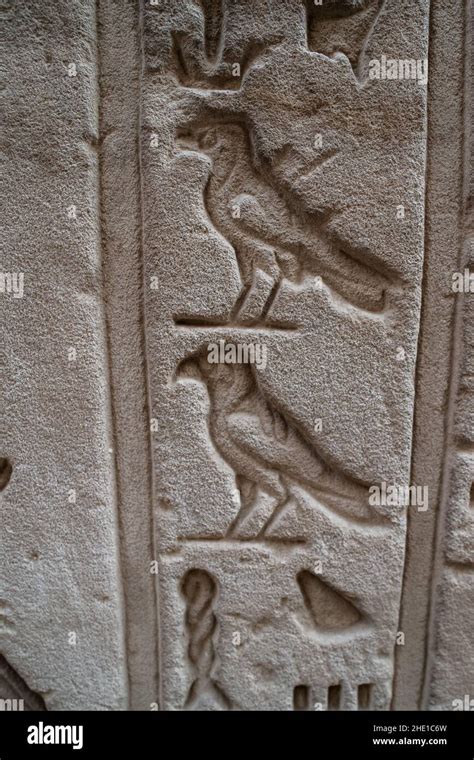 Ancient Egyptian Hieroglyphs Of Birds Likely Falcons At The Temple Of