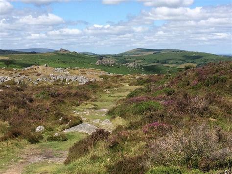 Dartmoor S Daughter Dartmoor National Park All You Need To Know Before You Go