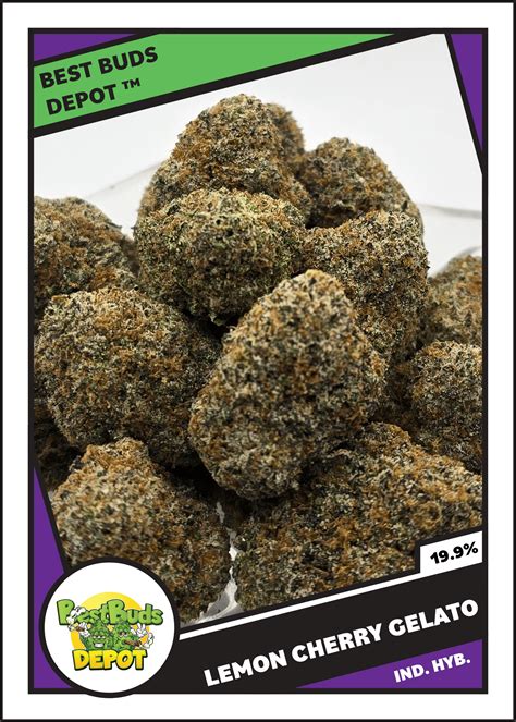 Lemon Cherry Gelato - Best Buds Depot, LLC.