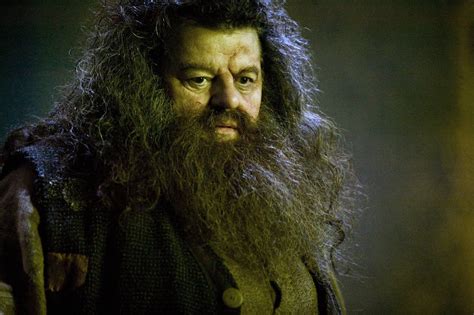 Harry Potter 20 Things Everyone Gets Wrong About Hagrid