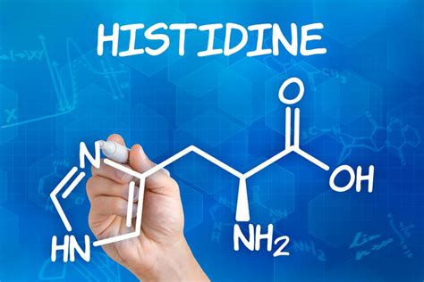 L-Histidine Benefits