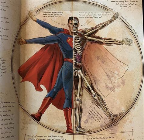 [Artwork] Taken from the “Anatomy Of A Metahuman” book by Insight ...