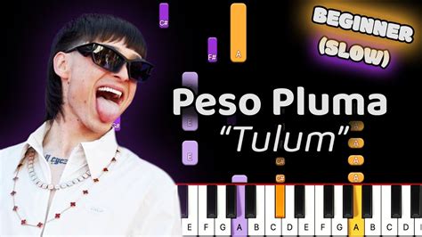 Peso Pluma Tulum Piano Tutorial Beginner Slow Speed Youtube