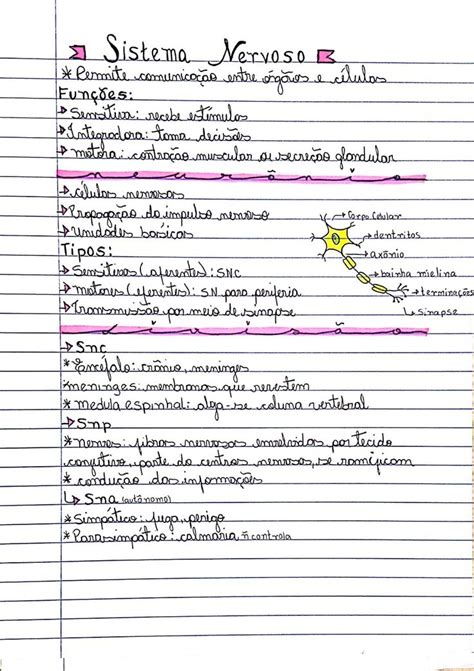 Resumo Sistema Nervoso Sistema Nervoso Resumo Sistema Nervoso