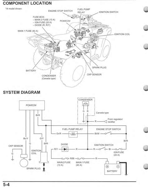 Honda Foreman 450 Rear Axle Diagram Exploring The Rear Axle