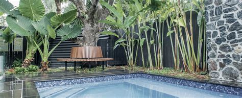 Tropical Retreat Definition Landscape Design Archipro Au