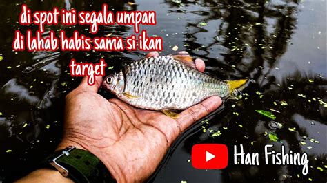 MANCING WADER KEPEK Spot Bangil Pasuruan Jamin Ikan Melimpah