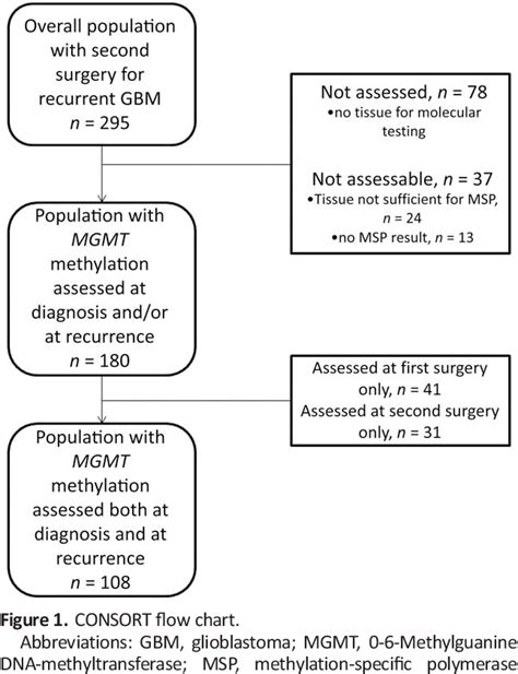 Figure 1 From Role Of Mgmt Methylation Status At Time Of Diagnosis And