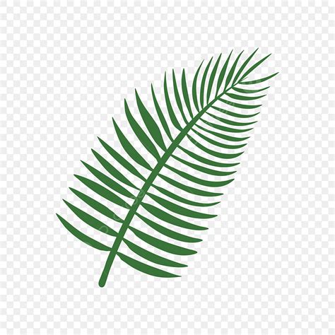 Hojas De Palmera Tropical Simple Png Dibujos Hoja Palma Playa Png Y Vector Para Descargar