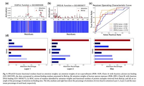 BioDecoded On Twitter PFresGO An Attention Mechanism Based Deep