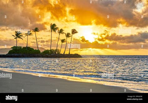 Sunrise on the Beach in Hawaii Stock Photo - Alamy