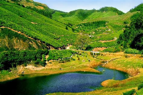 Kerala Munnar Kodaikanal Tour Package 5 Nights 6 Days Travel Magica