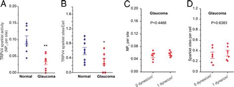 Activity Of Trpv Channels Is Impaired In Glaucomatous Tm Cells A And