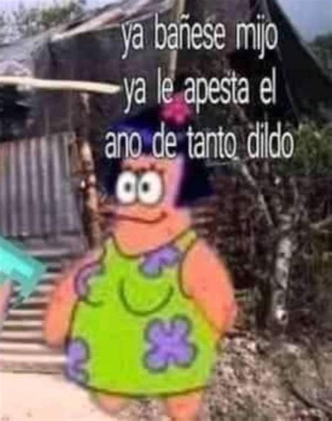 Pin En Momasos👻👻 Imágenes Graciosas Imagenes Chistosas Para Reir