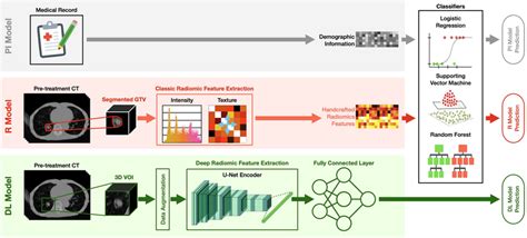 The Design Of The Pi Model R Model And Dl Model Pi Model The Download Scientific Diagram