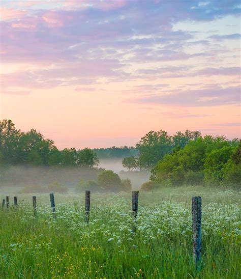 🇸🇪 Mist On A Summer Evening In The County Öastefgötland Sweden By