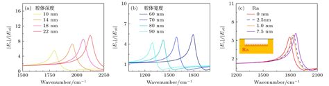 可调谐的声学型石墨烯等离激元增强纳米红外光谱