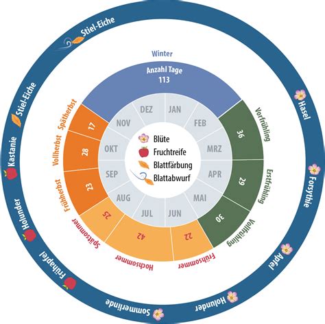 Phenological Calendar | Seasons explained