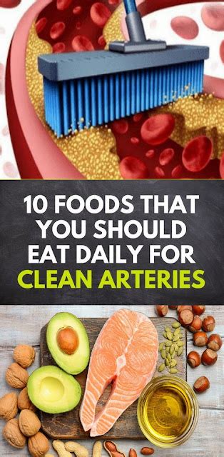 10 Foods That You Should Eat Daily To Cleanse Arteries Wellness Magazine