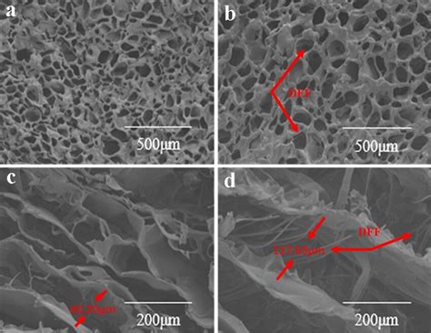 Surface And Cross Section Sem Images Of A C Hec And B D Hec Dff