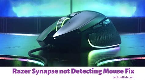 Razer Synapse Not Detecting Mouse Reasons And Fix