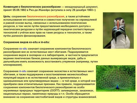 Экологические понятия и принципы. Структура экосистем - online presentation