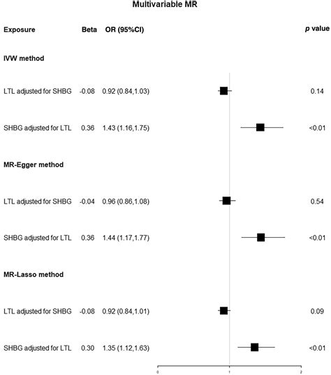 Exploring Causal Relationships Between Leukocyte Telomere Length Sex