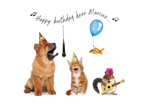 happy birthday funny animal images 4