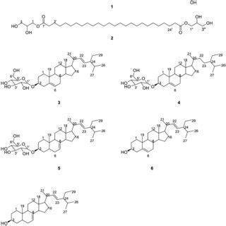 Structures Of Compounds Isolated From Acetone Methanol Extract Of E