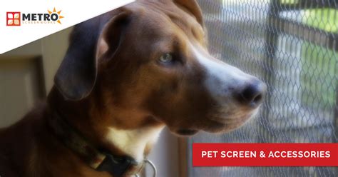 Pet Proof Screen Buy Dog Cat Proof Screens For Windows And Doors