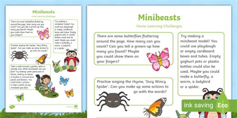 Minibeasts Home Learning Challenge Sheet Nursery Fs1