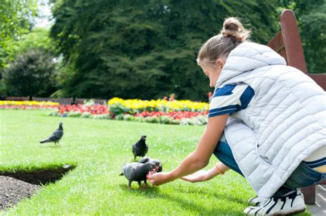 480+ Woman Feeding Pigeons Park Stock Photos, Pictures & Royalty-Free Images - iStock