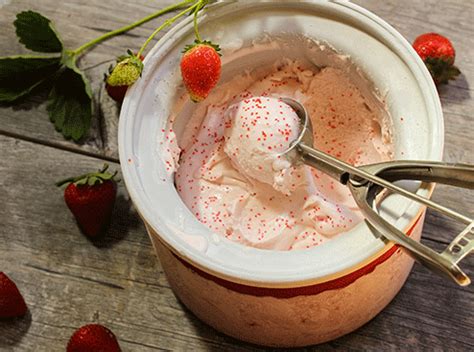 Sorbetière turbine à glace conseils et astuces pour réussir sorbets