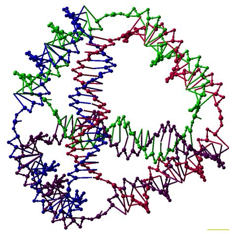 dna nanotechnology wikipedia