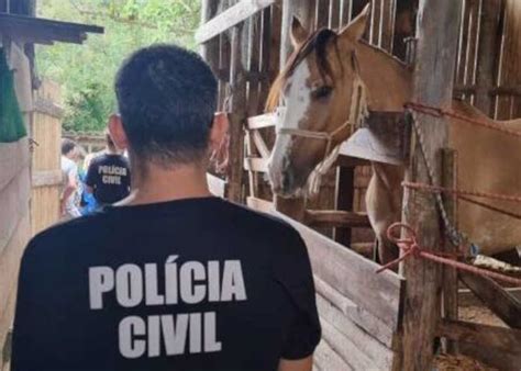 A O Conjunta Resgata Mais De Animais Em Condi Es Insalubres E