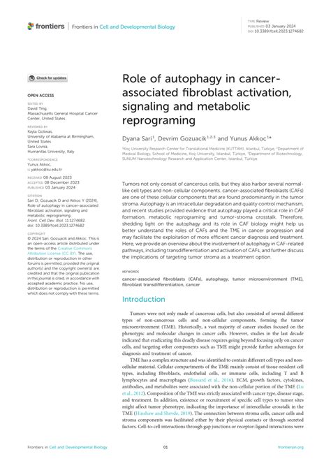 Pdf Role Of Autophagy In Cancer Associated Fibroblast Activation