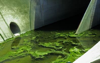 Sewage Cleanup Process | San Francisco