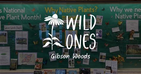 National Native Plant Month Wild Ones Gibson Woods Chapter