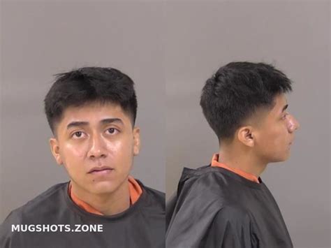 Ruiz Sayago Raul Indian River County Mugshots Zone