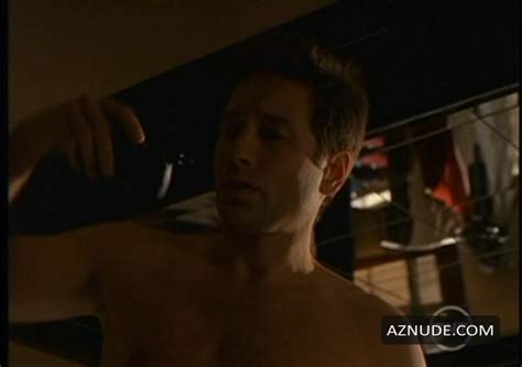 DAVID DUCHOVNY Nude AZNude Men