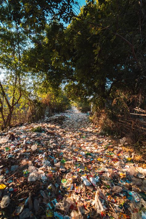 Bahaya Untuk Lingkungan Kita Ini Adalah 5 Fakta Tentang Sampah Plastik