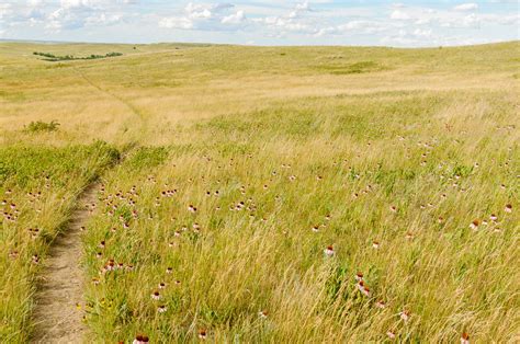 Zenfolio | Trailside Photography | North Dakota | Shortgrass Prairie ...
