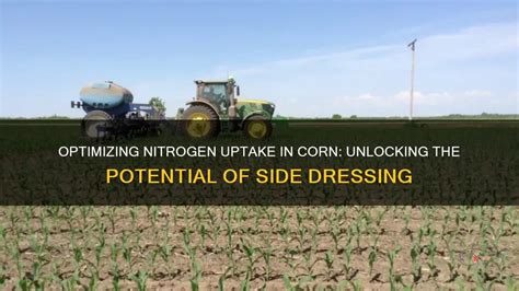 Optimizing Nitrogen Uptake In Corn Unlocking The Potential Of Side Dressing Shunvogue