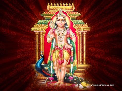 God Murugan Wallpapers Top Free God Murugan Backgrounds Wallpaperaccess