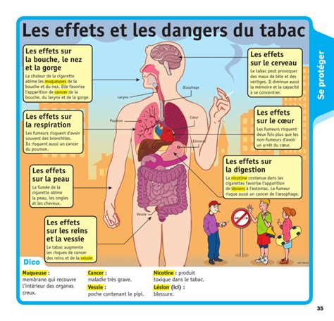 Les Effets Et Les Dangers Du Tabac