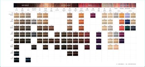 Schwarzkopf Igora Royal Hair Color Chart 529632 Schwarzkopf Professional Igora Royal Core