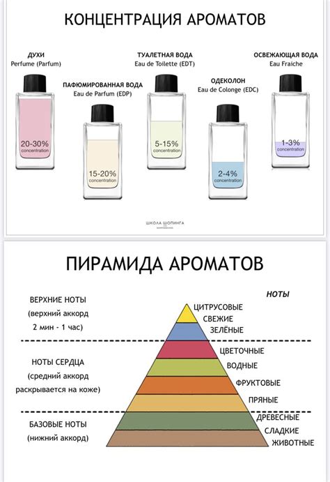 Pin by Ola on Инфографика и книги | Homemade cosmetics, Diy perfume ...