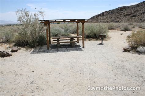 Borrego Palm Canyon Campsite Photos Campground Availability Alerts