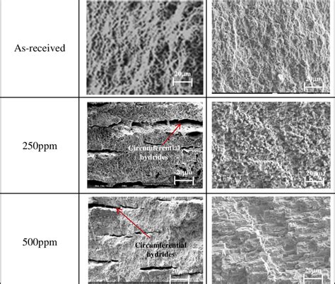 Sem Micrographs Of Fracture Surfaces Of Irradiated And Unirradiated